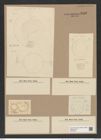 Hyalodiscus radiatus (O'Meara) Grun. (de-Toni-Nr.: Genus 219, Species 5497) Zeichnungen Sammlung Grunow Nr. 9446 (NHMW-BOT-W0379303)